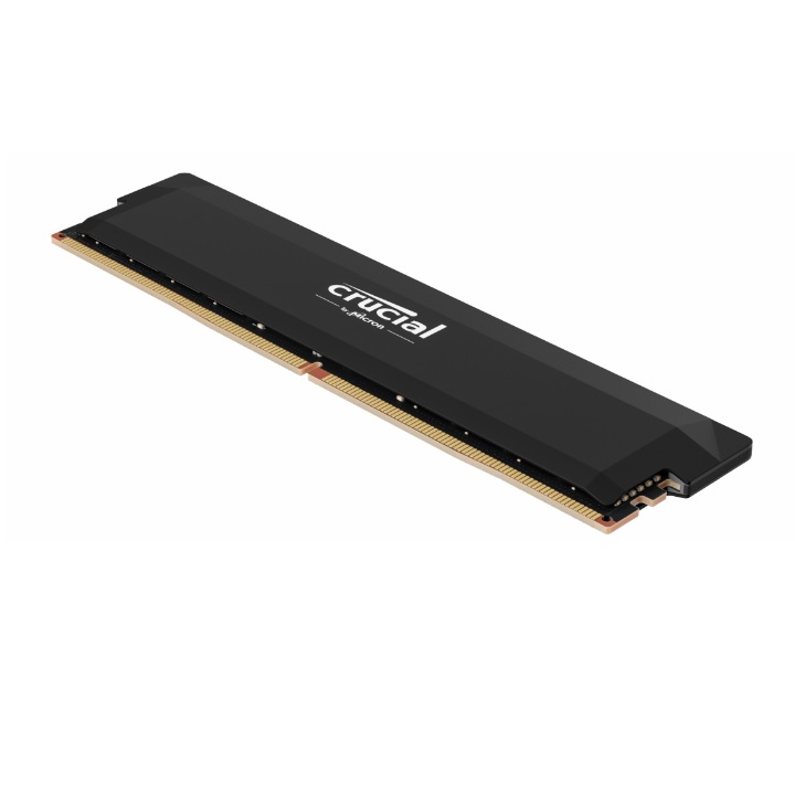 Crucial - CP16G60C36U5B - התמונה להמחשה בלבד