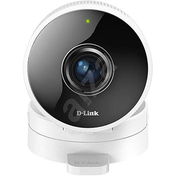 D-Link - DCS-8100LH - התמונה להמחשה בלבד