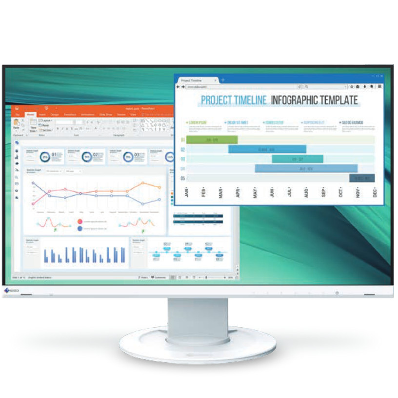 EIZO - EV2460-WT - התמונה להמחשה בלבד