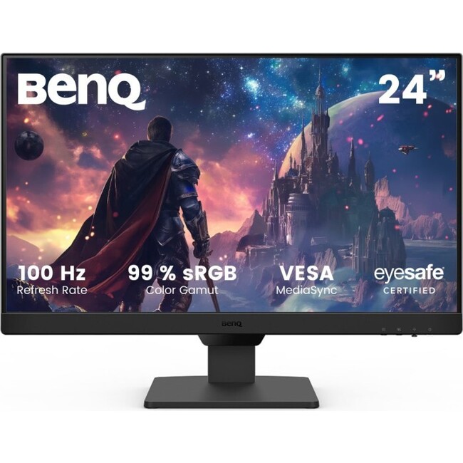 BENQ - GW2490 -   