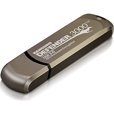 Kanguru - KDF3000-256G - התמונה להמחשה בלבד