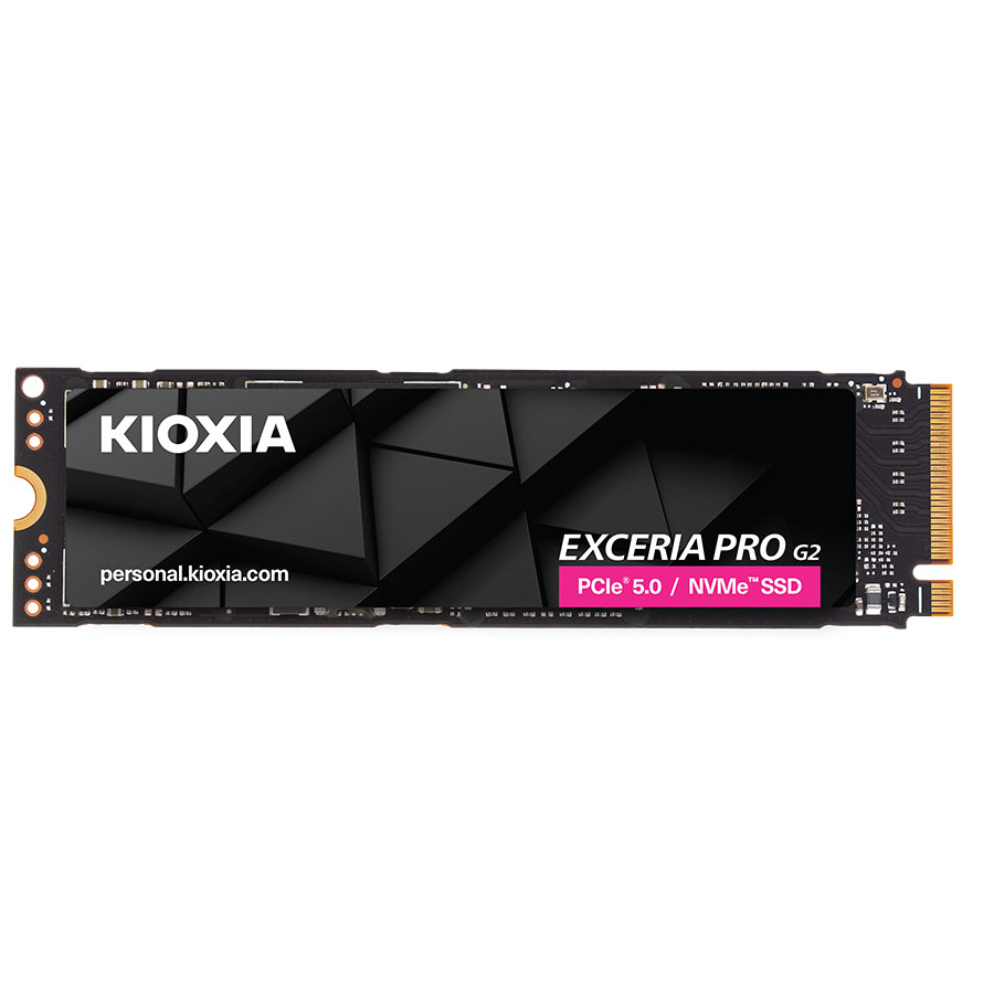 KIOXIA - LVE10Z4T09G8 - ������ ������ ����