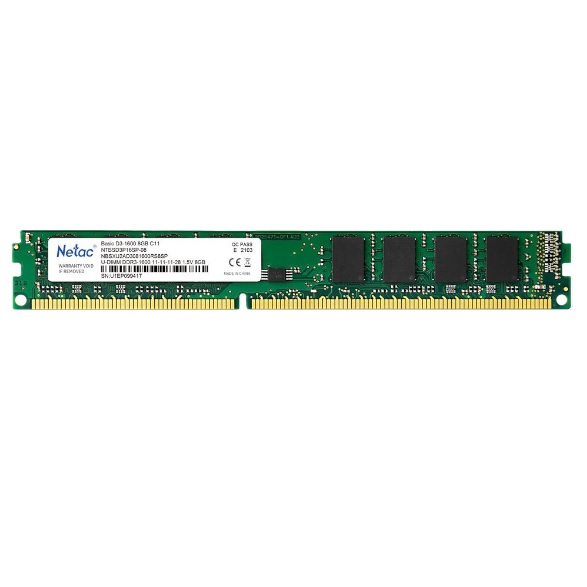 Netac - NTBSD3P16SP-08 - התמונה להמחשה בלבד