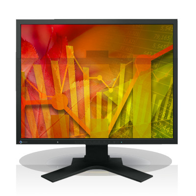 EIZO - S2133-H-GY -   