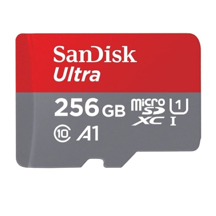 SANDISK - SDSQUNR-256G-GN3MN -   