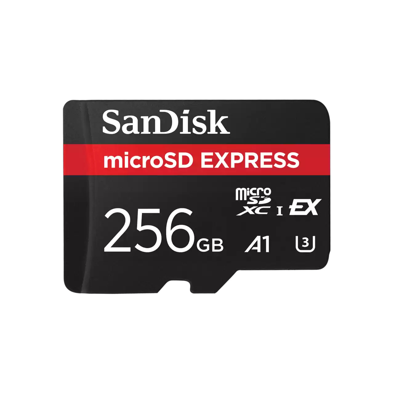 SANDISK - SDSQXFN-256G-GN4NN - התמונה להמחשה בלבד