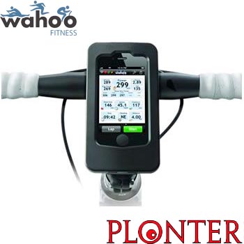 Wahoo - WFPeto01 -   